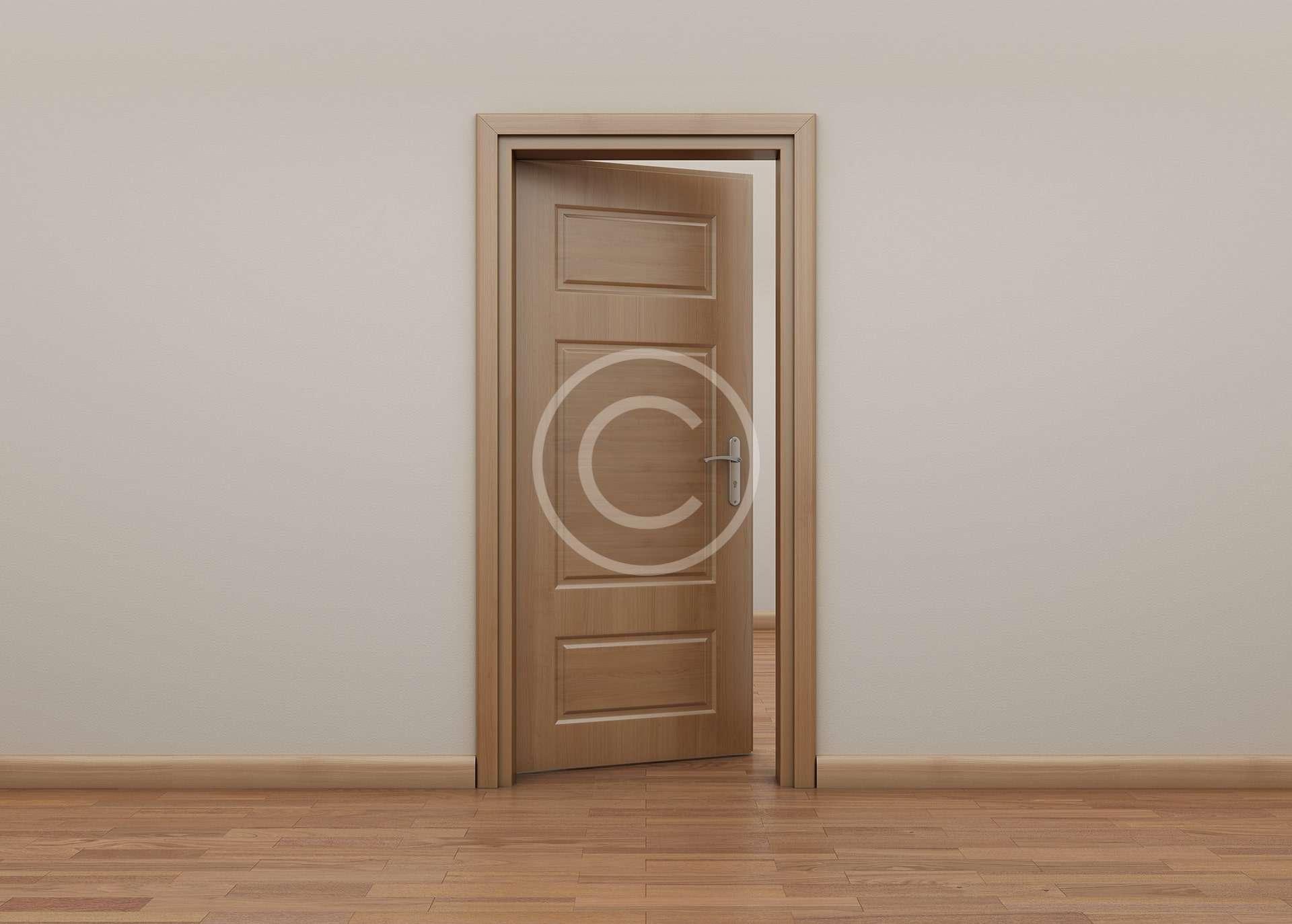 Door designs